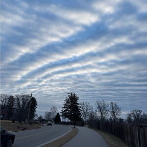 Meet your Posher, Bailey